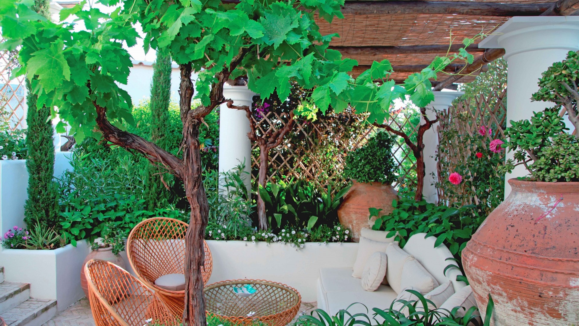 Terraces in Capri - Garden design - Quality proposals for your Garden